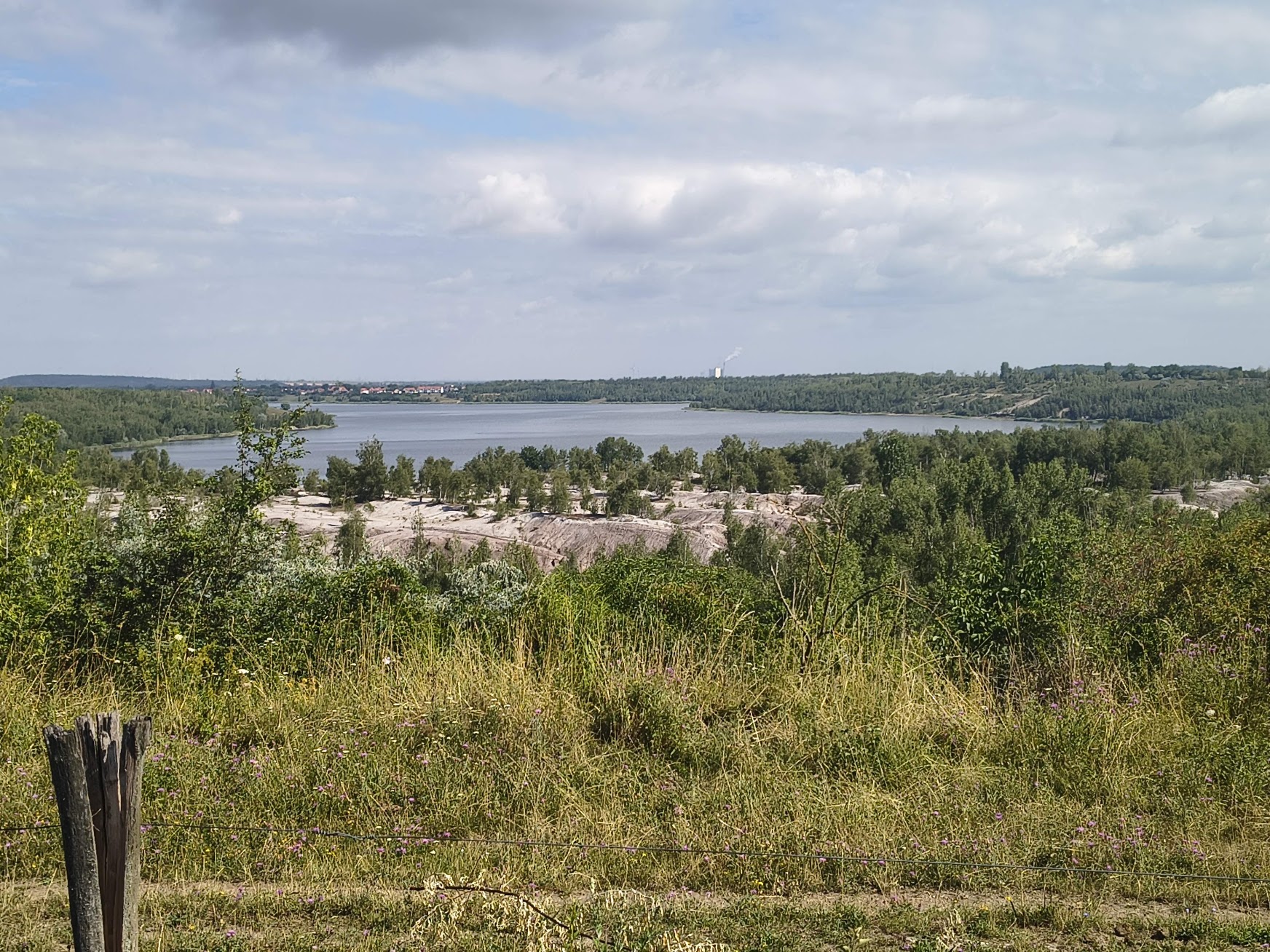 Seenlandschaft auf dem Weg nach Merseburg.