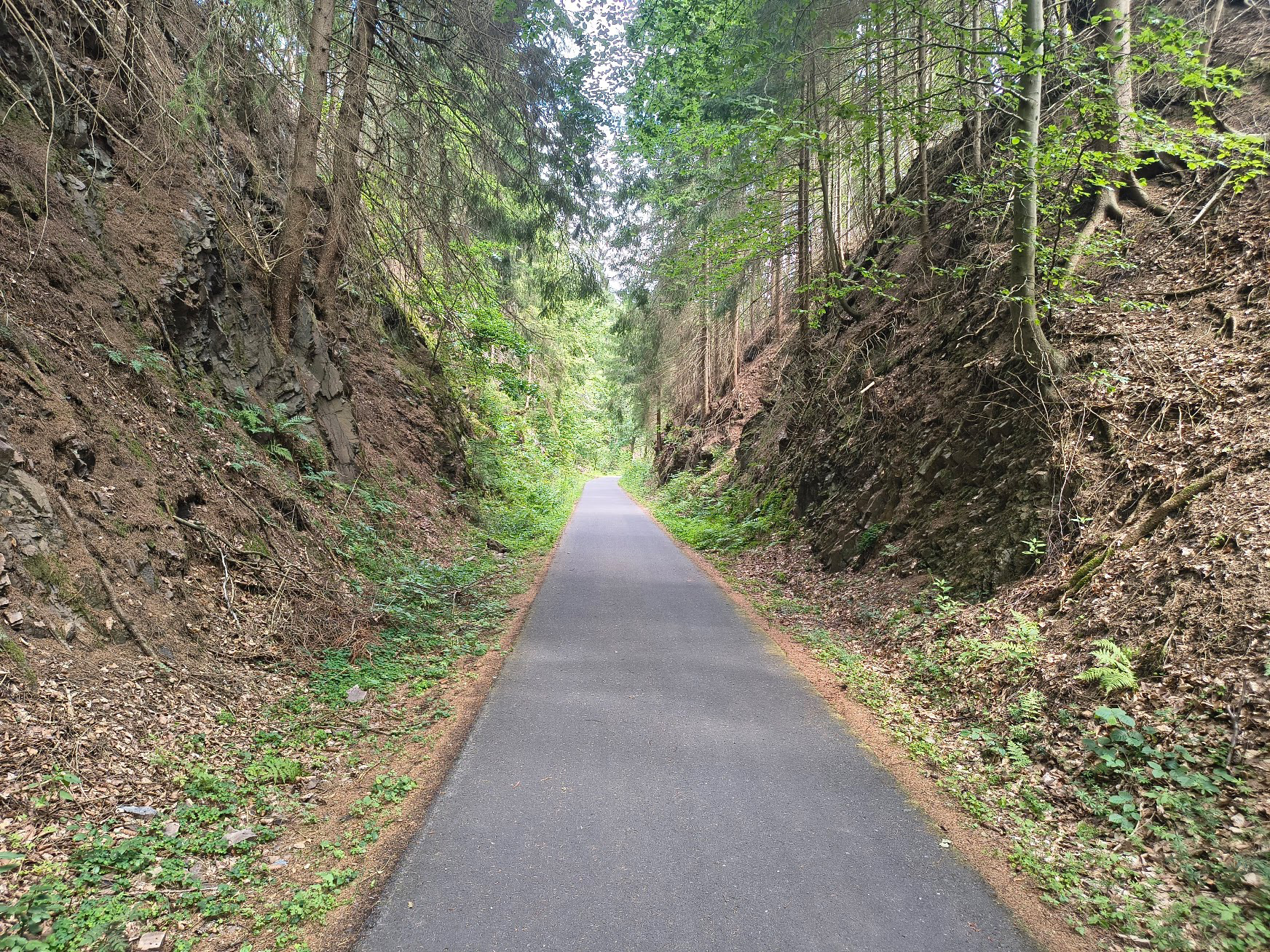 Mommelstein-Radweg.