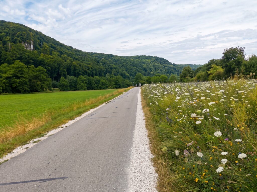 Auf dem Naabtal-Radweg.