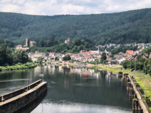 Neckarsteinach mit Burg Dilsberg und Ruine Hinterburg