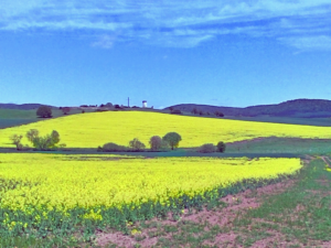 Ehemaliger Wachturm und Friedenskreuz bei Hermannsfeld an der Grenze von Unterfranken und Thüringen.