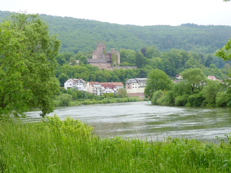 Burgen sind ein Markenzeichen des Neckartals. Das Foto zeigt Neckarsteinach.